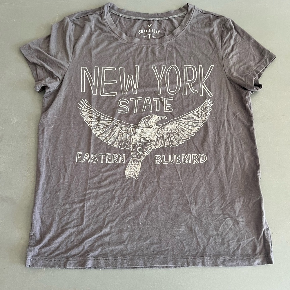 NWOT American Eagle soft & sexy New York State Eastern Bluebird Graphic Tee